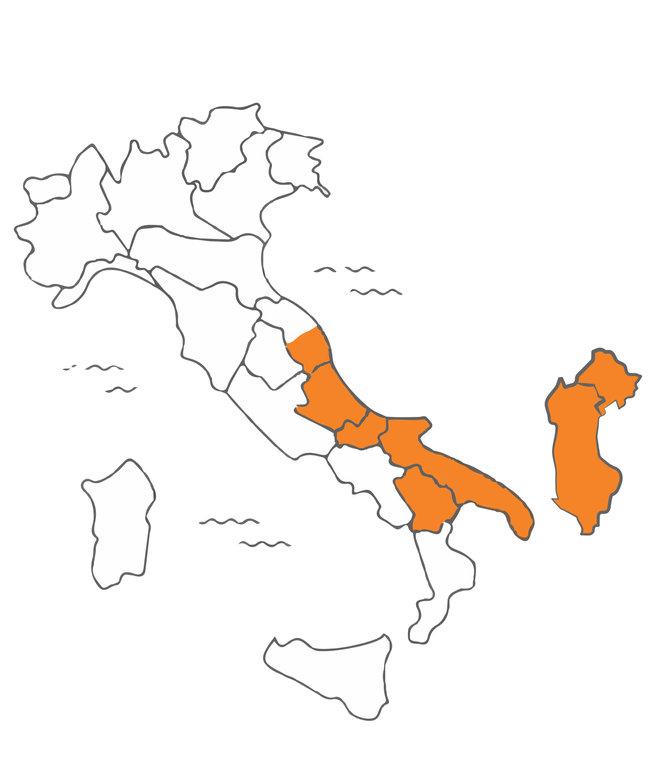 Conad Adriatico